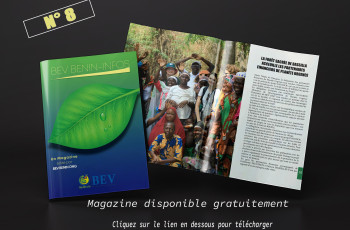 BEV INFO N°8
