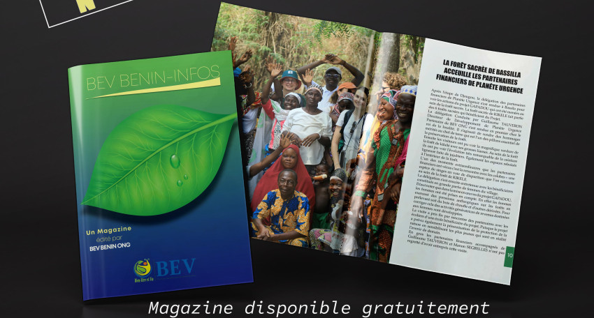 BEV INFO N°8