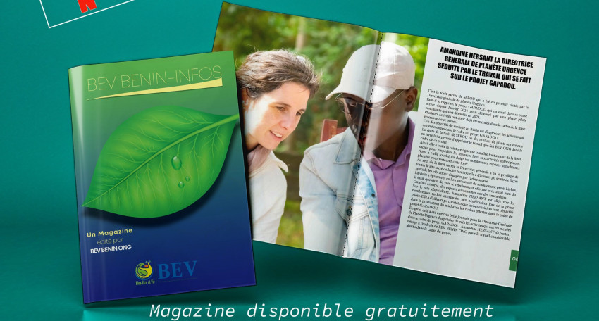 BEV INFO N° 4